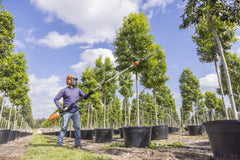 HLA 86 Battery Powered extended-reach Hedge Trimmer