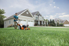 RM 655 Gasoline Lawn Mower