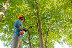 HTA 50 Battery Powered Pole Pruner
