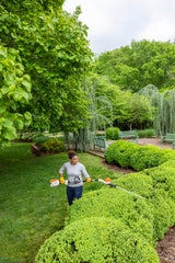 HLA 66 Battery Powered extended-reach Hedge Trimmer