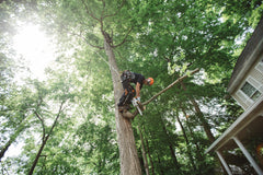 MS 151 Gasoline Chainsaw