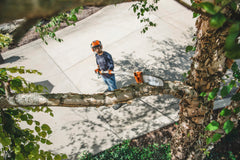 HT 135 Gasoline Pole Pruner