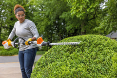 HLA 66 Battery Powered extended-reach Hedge Trimmer
