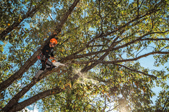 MSA 220 TC-O Battery Powered Chainsaw