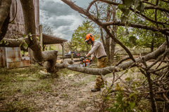 MS 261 Gasoline Chainsaw