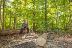 MS 362 Gasoline Chainsaw