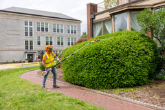 HLA 86 Battery Powered extended-reach Hedge Trimmer
